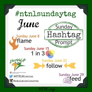 NT-NL's Sunday Hashtag Prompt - June | NTNL.org