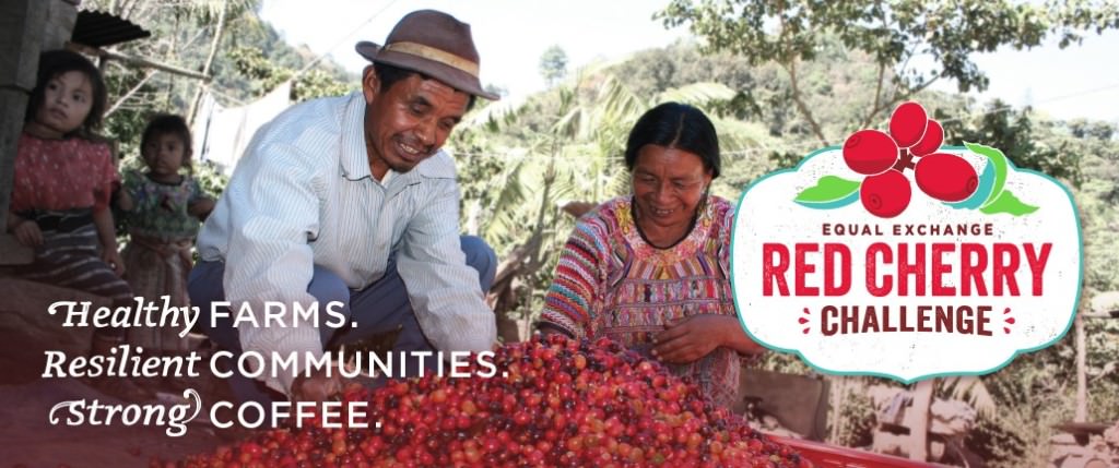 Red Cherry Challenge