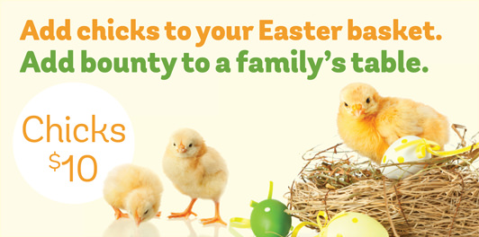 Add chicks to your Easter basket. Add bounty to a family's table. Chicks: $10