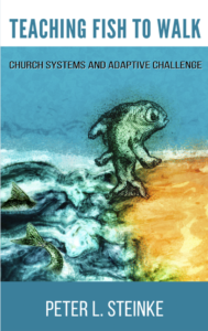 teaching-fish-to-walk-peter-steinke